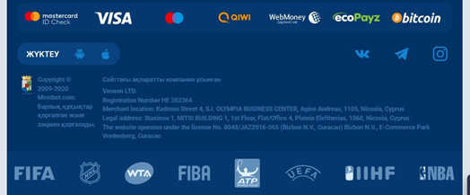 Рисунок 3. Информация о компании внизу сайта.